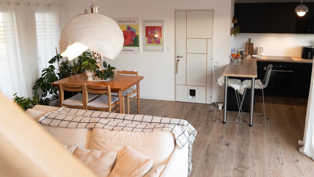 Cuisine ouverte sur séjour